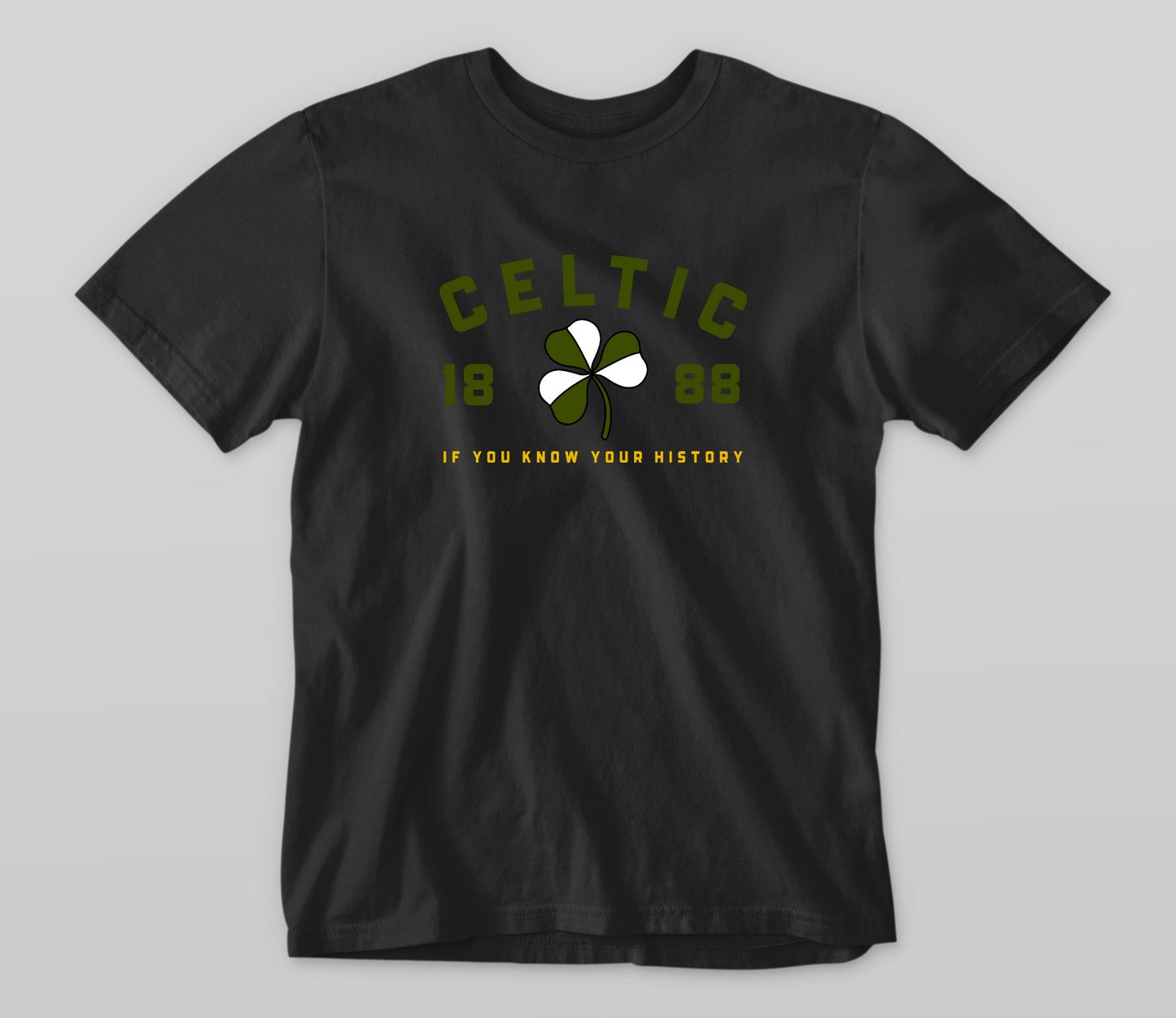 'IF YOU KNOW YOUR HISTORY' TEE SHIRT