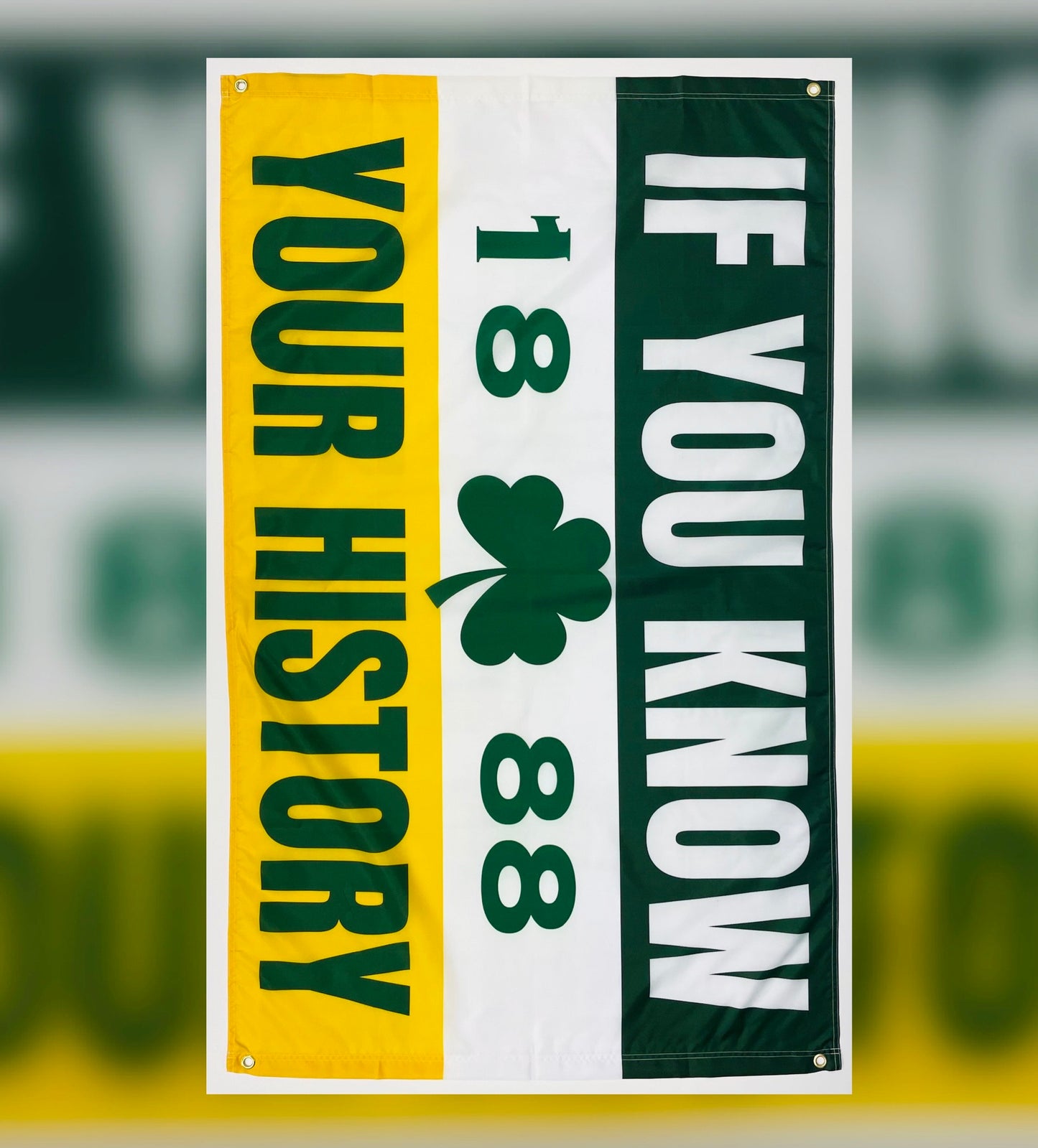 'IF YOU KNOW YOUR HISTORY' FLAG